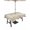 Beige Light Pink, variant on Outdoor Tablecloths with Umbrella Hole & Zipper, Spring Floral 60x60 Inch Square Tablecloths, Watercolor Roses Eucalyptus Leaves Botanical Waterproof Table Cloth, Patio/Pool/Picnic Table Covers