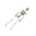 thumbnail image 1 of kurtrusly Halloween Skeleton Yard Art Weather-resistant Realistic For Haunted Scenes Garden Statues Outdoor Led string, 1 of 6