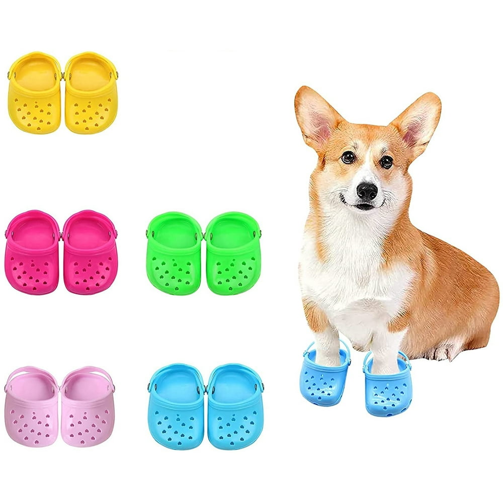 slip on shoes for dog walking