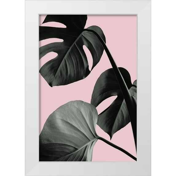 Artographie Studio 17x24 White Modern Wood Framed Museum Art Print Titled - Monstera Pink No 04