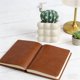 thumbnail image 5 of Planta de cactus artificial – Decoración de suculentas en maceta falsa | Acento de sala interior, baño, oficina | Olla de cerámica blanca | No se necesita mantenimiento | 6,5 pulgadas, 5 of 6