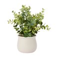 thumbnail image 3 of Eucalyptus artificiel Anko en pot, 3 of 6