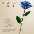 thumbnail image 2 of Yonktoo Gold Dipped Rose - Real Rose Preserved in 24K Gold, Forever Gift Rose for Her, Mother's Day, Valentine's Day, Anniversary, Birthday - Romantic Gift for Wife, Mom, Girlfriend - Blue, 2 of 6