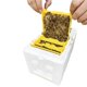 thumbnail image 5 of Caja de apicultura de espuma Matsuzay blanca herramientas de abeja para Jardín y Patio, 5 of 6