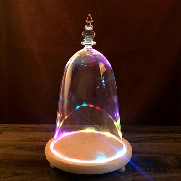 Glass Dome with Wood Base LED Light Round Bell Jar Clear Cloche Display