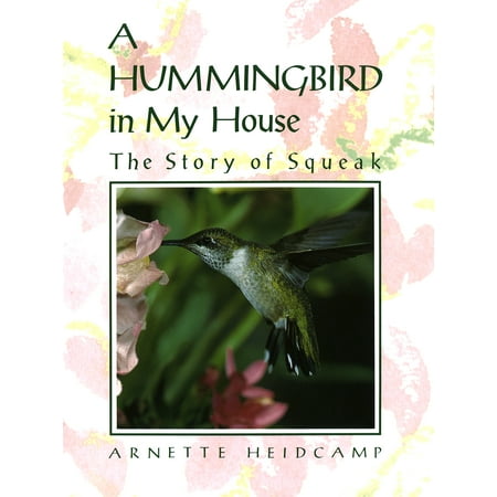 A Hummingbird in My House : The Story of Squeak