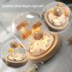 thumbnail image 3 of Handcrafted Jellyfish Shell Night Light Perfect Shell Lamp Gift, 3 of 5