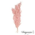 thumbnail image 3 of Uniquewise 19" Peng Lai Song Real Floral Stem Chic Vase Filler & Accent for Bouquet Centerpiece & Ornamental Display Ideal for Home Office Boutique Café Resto Bar and Event Décor, Light Sakura Pink, 3 of 8