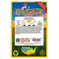 thumbnail image 2 of Everwilde Farms - 2000 Virginia Stock Garden Flower Seeds - Gold Vault Jumbo Bulk Seed Packet, 2 of 5