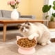 thumbnail image 4 of Comedero y bebedero elevado de gran capacidad para gatos | Plato de plástico para mascotas de 250 ml con diseño ancho y poco profundo | Soporte para el cuello para una mejor digestión y alivio del, 4 of 8