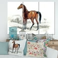 thumbnail image 2 of Designart ' Ancient Horse ' Farmhouse Canvas Wall Art Print, 2 of 3