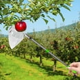 thumbnail image 3 of Recolector de Frutas Telescópico de Acero Inoxidable de 4 M con Bolsa de Almacenamiento para Árboles Altos, Huertos y Jardín., 3 of 5