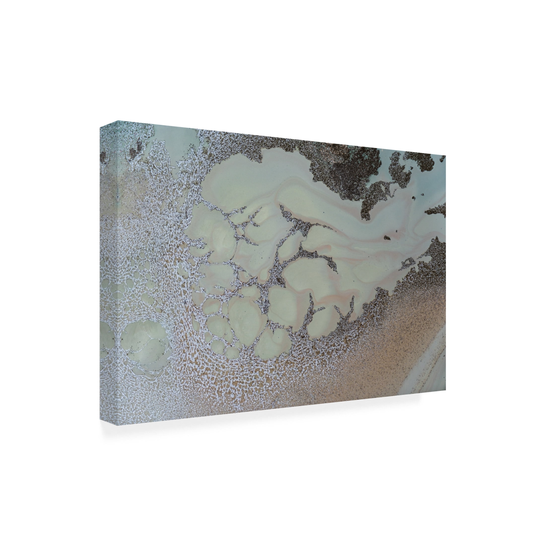 Canvas Wall Art - Petra Meikle de Vlas 'Shifting' Wall Art for Living Room, Bedroom, or Office Décor by Trademark Fine Art - 19 x 12 Inches