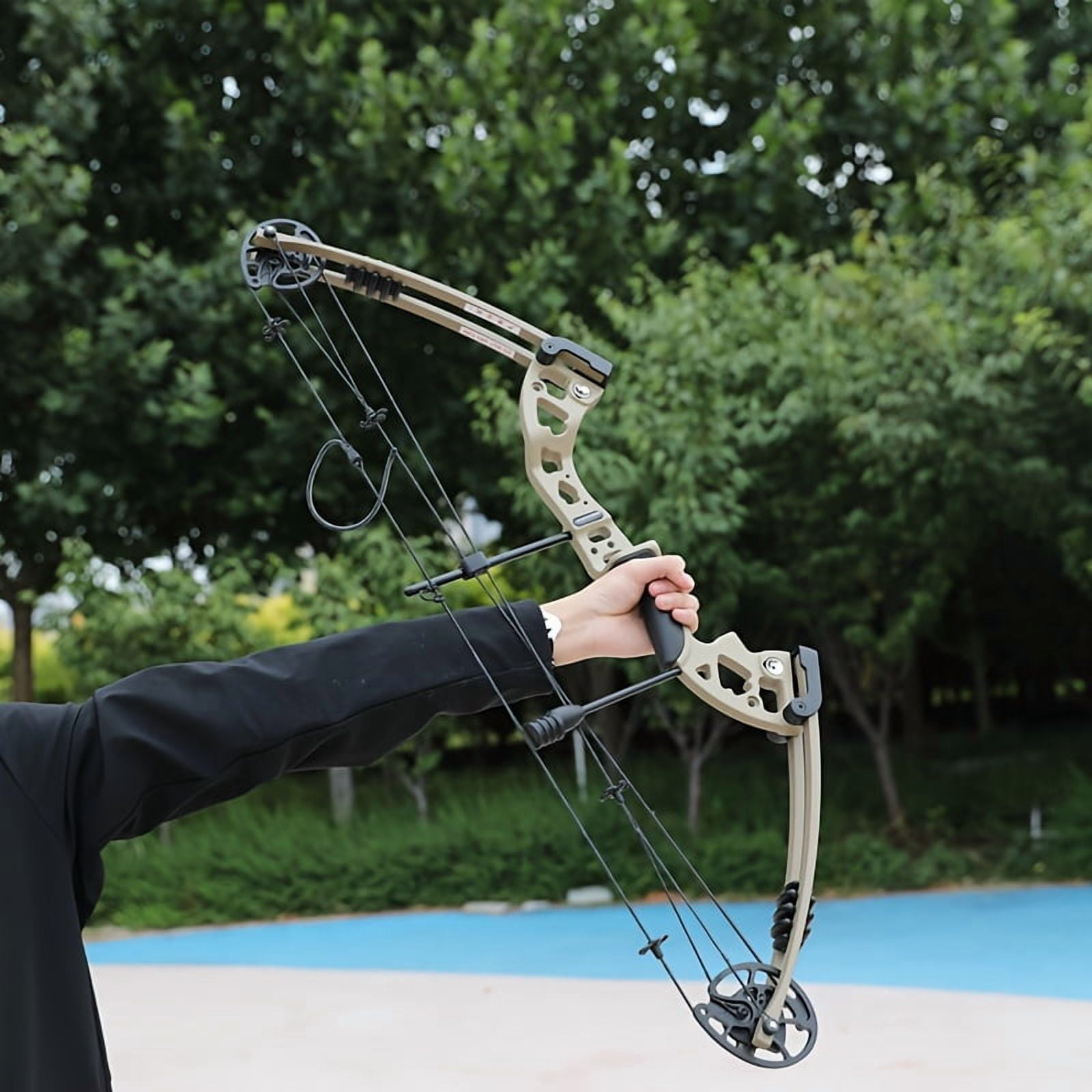 30-55lbs Compound Bow Carbon Arrows Kit Archery Hunting Adult Target Shooting