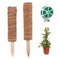 thumbnail image 6 of 24.4 Inch Moss Poles for Climbing Plants Monstera - Pack of 3 Durable 12” Coco Coir Poles with 50 Cable Ties- Support Upward Growth of Indoor Plants, 6 of 8