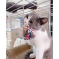 thumbnail image 3 of Cat Catnip Toy Hanging Japanese Sachet Cat Chew Catnip Cat Chew Toy for Cage, 3 of 10