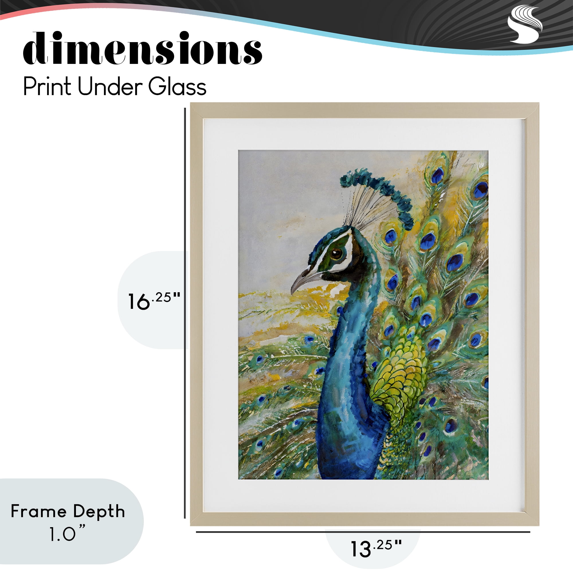Stupell Industries Regal Blue Peacock Feathers Birch Framed Print Under Glass, design by Creative Studio
