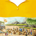 thumbnail image 4 of 150Pcs Honeycomb Foundation Bee Wax Foundation Sheets Paper Candlemaking Beeswax Flakes Beekeeping Tool, 4 of 6