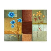 Trademark Fine Art 'Blue Left, Orange Right' Canvas Art by Pablo Esteban