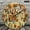 12x12in, variant on NIANHE 1pc Autumn Harvest Market Theme Wall Clock Battery Operated, 10 inch  Silent Non Ticking Round Wall Clock Lobby Corridor Dining Room Bedroom Office Classroom