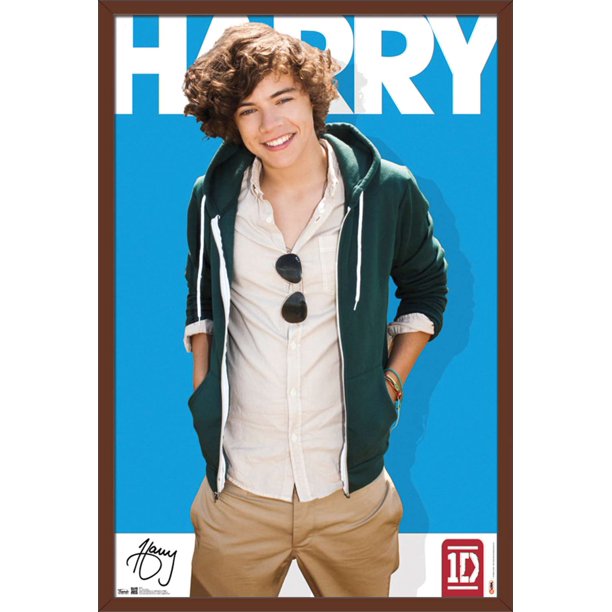 One Direction Harry Styles Poster Walmart Com