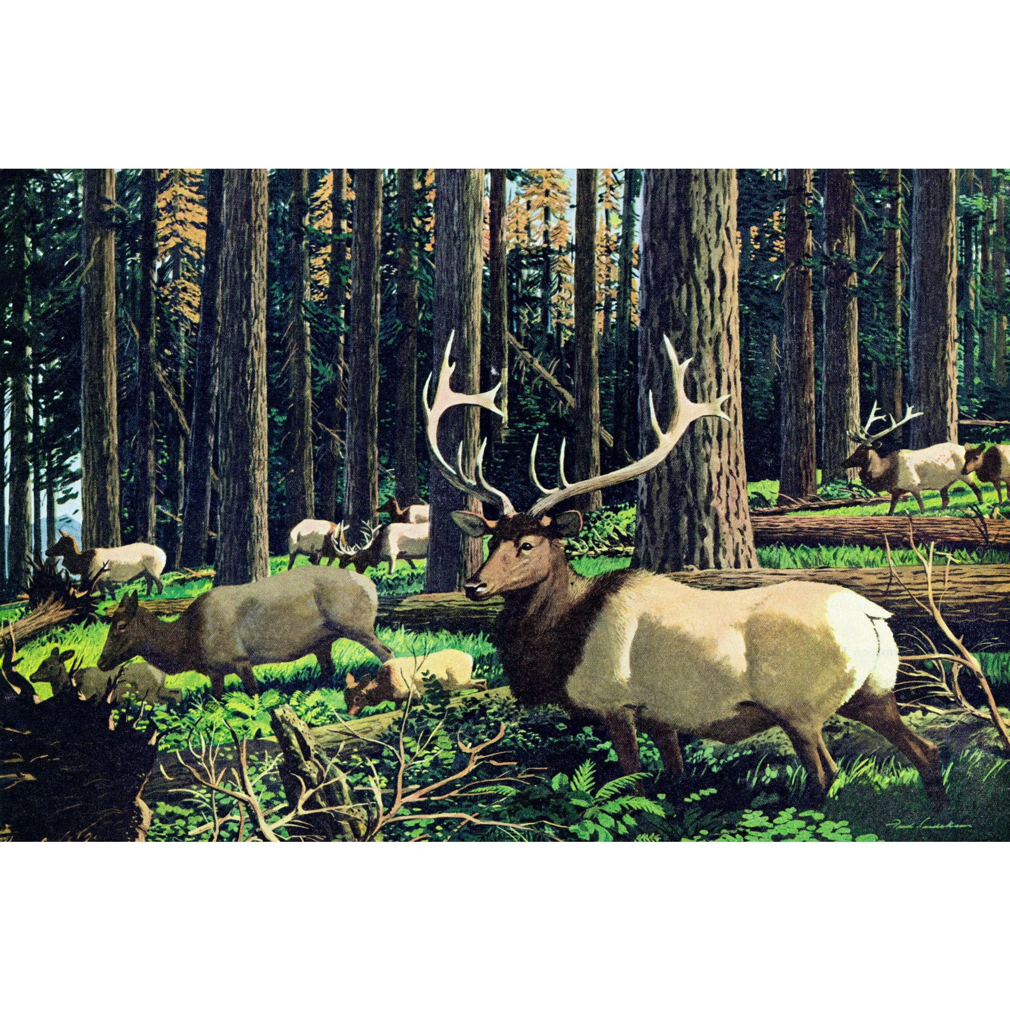 Marmont Hill "Elk Herd" Painting Print on Wrapped Canvas
