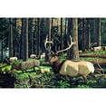 thumbnail image 2 of Marmont Hill "Elk Herd" Painting Print on Wrapped Canvas, 2 of 4