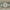 Green, variant on Findosom 2'x6' Vintage Boho Runner Rug Washable Non-slip Area Rug,Hallway Indoor Farmhouse Bedroom Kitchen Living Room Non Shedding Runner, Contemporary Low Plie Floor Carpet Doormat,Red