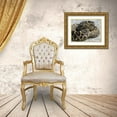 thumbnail image 3 of NASA 32x25 Gold Ornate Wood Framed with Double Matting Museum Art Print Titled - Snake, 3 of 4