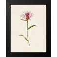 thumbnail image 2 of Unknown 12x14 Black Modern Framed Museum Art Print Titled - Mauve Garden Flowers VI, 2 of 5
