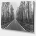 thumbnail image 2 of Autoroute Noir et Blanc en Forêt, 2 of 3