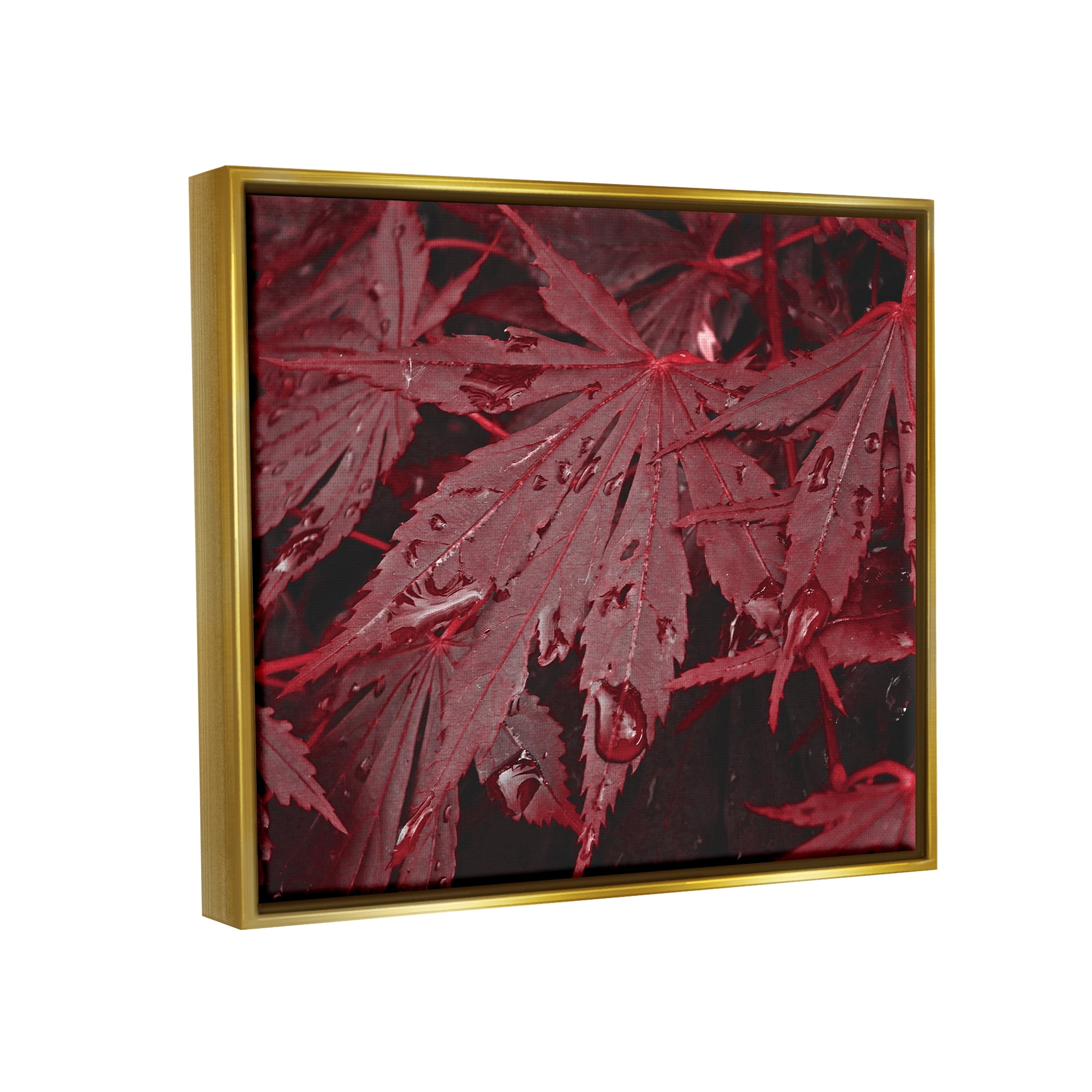 Stupell Industries Red Maple Leaves Botanical & Floral Photography Gold Floater Framed Art Print Wall Art, 31 x 25