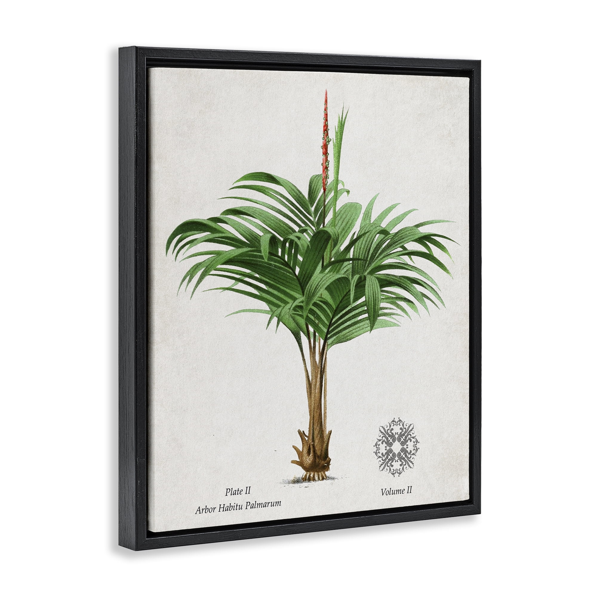Stupell Industries Natural Palm Variety Study Black Framed Floater Canvas Wall Art, design by Val Rhodes