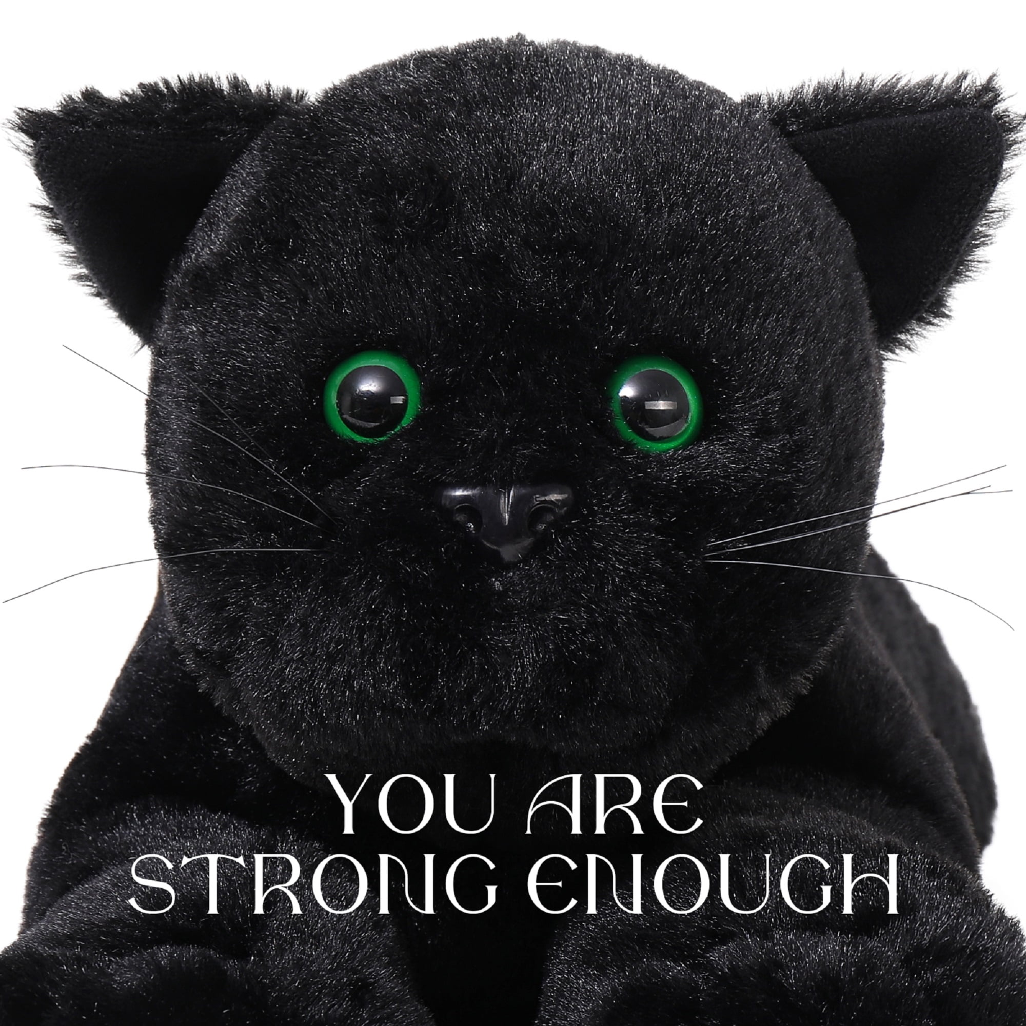 MaoGoLan 5Pcs Black Cat Plush with 4 Babies Kitties inside 20" Big Black Cat Stuffed Animals Plush Toy