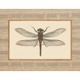 thumbnail image 2 of Chilton, Sarah E 18x15 Black Ornate Wood Framed with Double Matting Museum Art Print Titled - Delicate Dancer I, 2 of 4