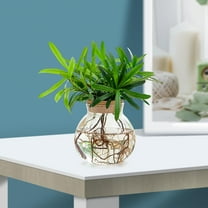 WHAMVOX  Small Ball Vase Propagation Bottle Terrarium Jar Plant Transparent