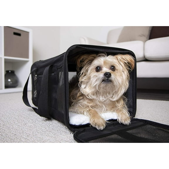 Easy Explorer Travel Pet Carrier, Airline Approved & Guaranteed On Board - Black, Medium