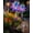 2pcs, variant on Magical Holographic Rainbow Solar Pinwheel Lights, Waterproof Solar Windmill Garden Lights with Color Changing LED Glow, Kinetic Wind Spinner Stake Outdoor Yard Decor for Pathway Lawn Patio(2PCS)