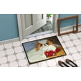 thumbnail image 2 of Carolines Treasures MH1049MAT Japanese Chin Pink Gorilla Tapis Intérieur & Extérieur - 18 x 27 Po., 2 of 4