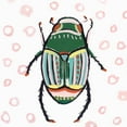thumbnail image 2 of Isabelle Z 20x20 White Modern Wood Framed Museum Art Print Titled - Emerald Beetle, 2 of 4