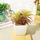 thumbnail image 4 of Gwong Decoración hogareña Flor artificial Planta suculenta Potería Pot Bonsai Inicio Balcón Decoración de escritorio Gwong 21037992, 4 of 7