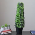 thumbnail image 2 of Northlight 25" Green and Black Potted Two-Tone Boxwood Cone Artificial Topiary Tree, 2 of 3
