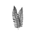 thumbnail image 3 of Prime, Marcus 12x14 Black Modern Framed Museum Art Print Titled - Fern Dueling 1, 3 of 5
