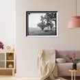thumbnail image 3 of Historic Framed Print, The Wheatfield [i.e. Wheat Field], Gettysburg, 17-7/8" x 21-7/8", 3 of 9