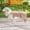 Green, variant on Transparent Dog Raincoat for Large Dogs Golden Retriever Labrador Waterproof Rain Jacket with Reflective Strips Outdoor Pet Clothes Green XS