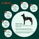 thumbnail image 2 of Chaleco salvavidas Kuoser Medium reflectante para perros, color verde, 2 of 7