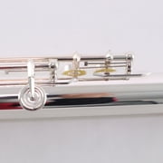 Selmer Model SFL511BEO Intermediate Flute