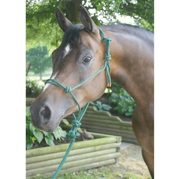 Dura-Tech Rope Halter for Horses and Lead | Horse Equipment | Color Green
