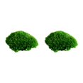 thumbnail image 3 of Inteprter Almohada musgo ecológico moño musgo para una encantadora decoración verde natural musgo decorativo verde natural Type1 NO1, 3 of 6