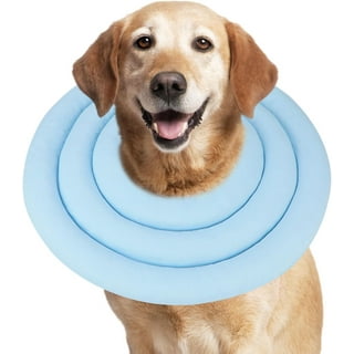 Dog cone walmart sales